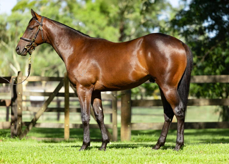 Lot 131 - King's Legacy x Cryptic Jewel