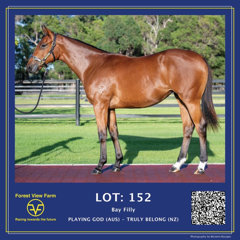 Lot 152