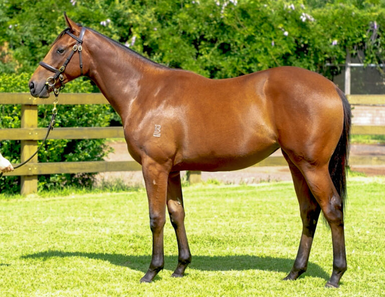 Lot 214