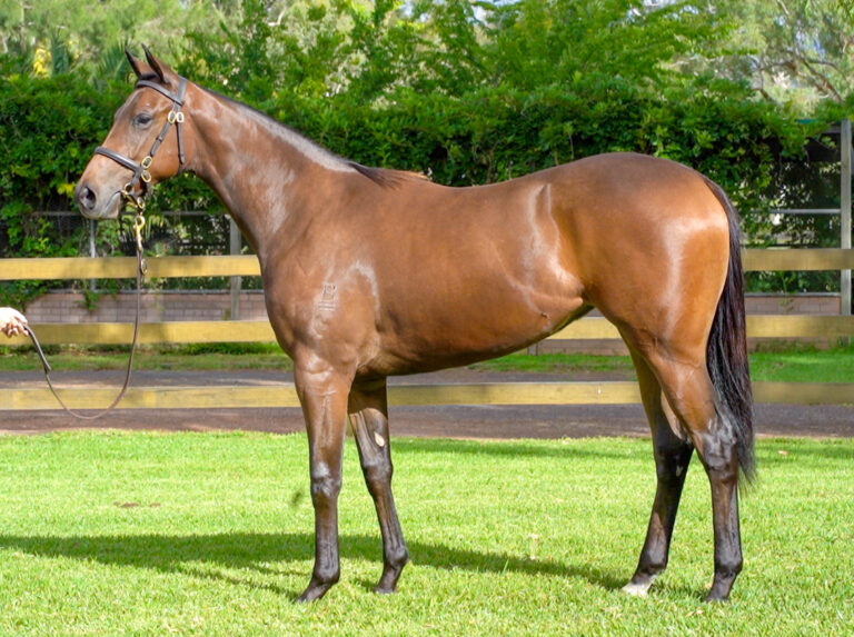 Lot 56