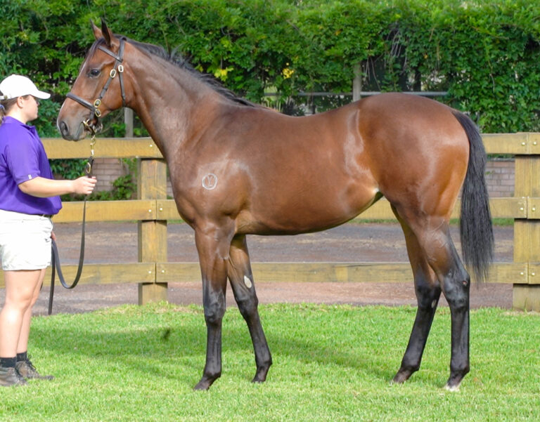 Lot 106